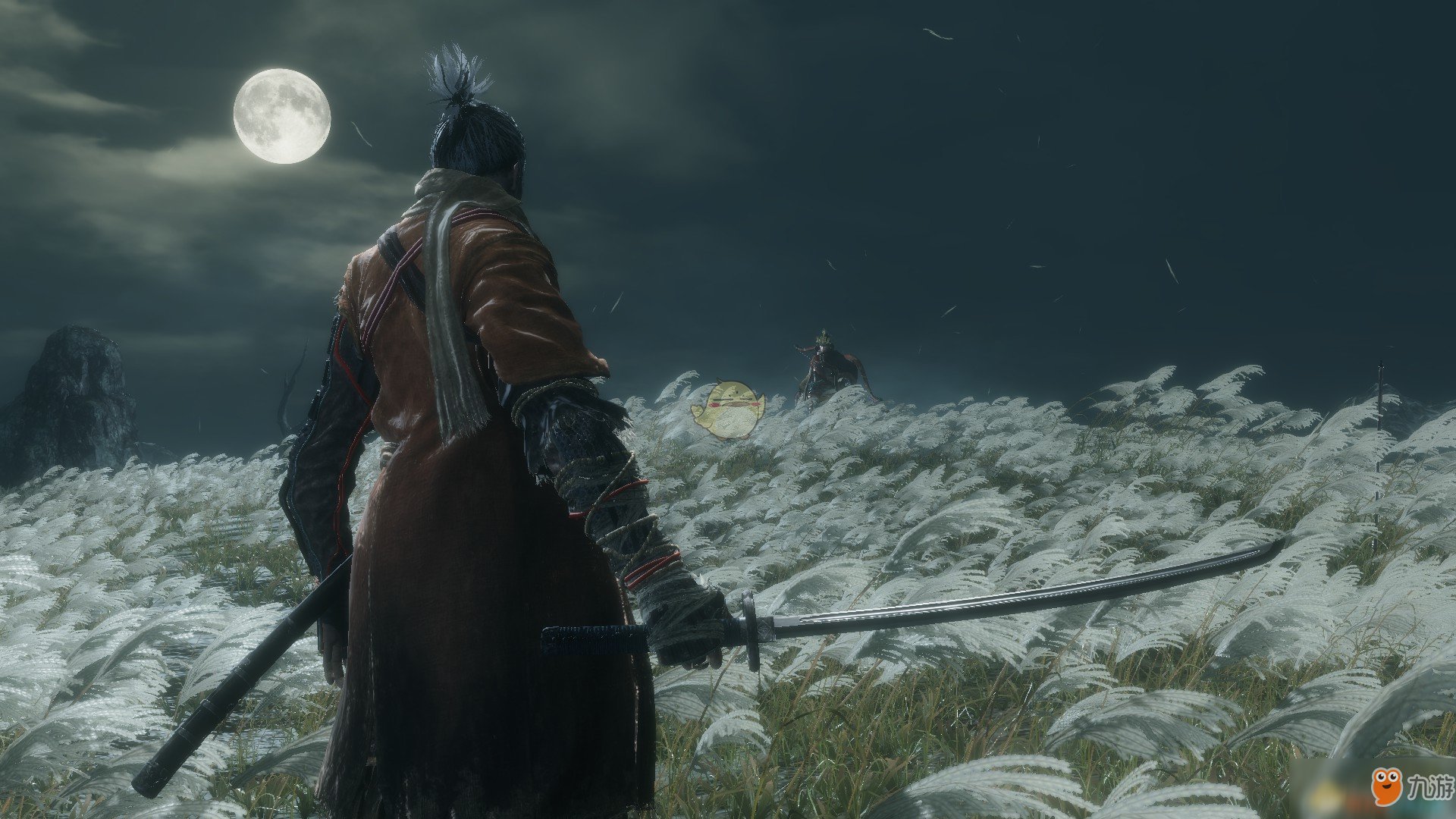 塞尔达传说：旷野之息 截图10